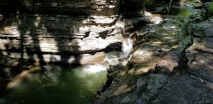 Buttermilk Creek pic008.jpg