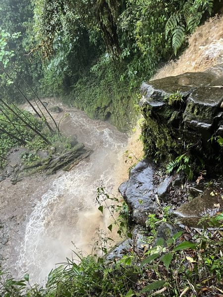 File:FILE-20230315165539.jpg