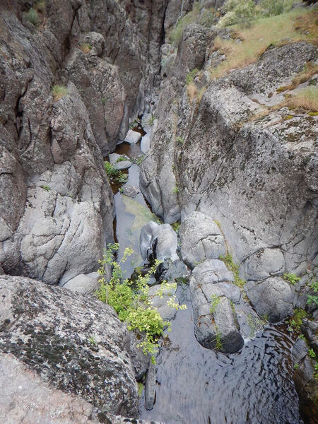File:Poison Creek pic1.jpg