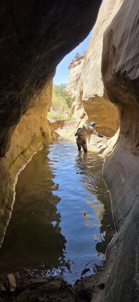 File:Upper Knowles Canyon pic009.jpg