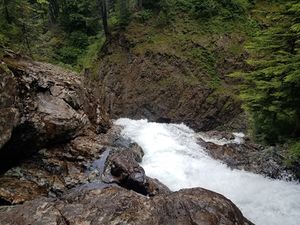 FILE-20190701024354.jpg