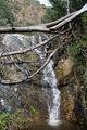 Thumbnail for version as of 01:47, 20 January 2020