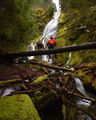 Thumbnail for version as of 03:26, 7 March 2021