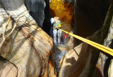 Avocado Canyon Banner.jpg