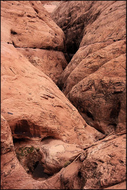 Happy Dog Canyon Banner.jpg