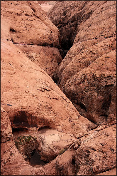 File:Happy Dog Canyon Banner.jpg