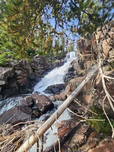 Norris Creek pic011.jpg