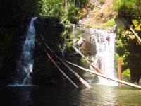 Pin Creek-20190811231639 pic.jpg
