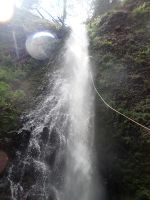 Shotgun Creek-20220715232636 pic.jpg