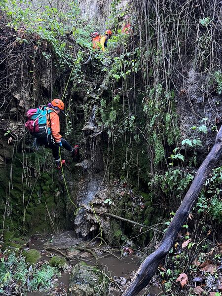 File:Eocene Canyon pic6.jpg