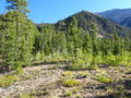 Thumbnail for version as of 17:19, 16 August 2022