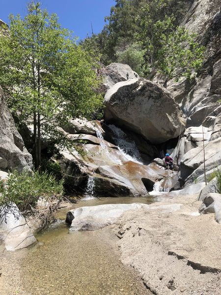 File:Strawberry Creek Straw R5.jpg