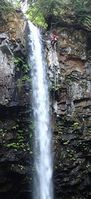 Big Creek (South Cascades)-20160628232637 pic.jpg