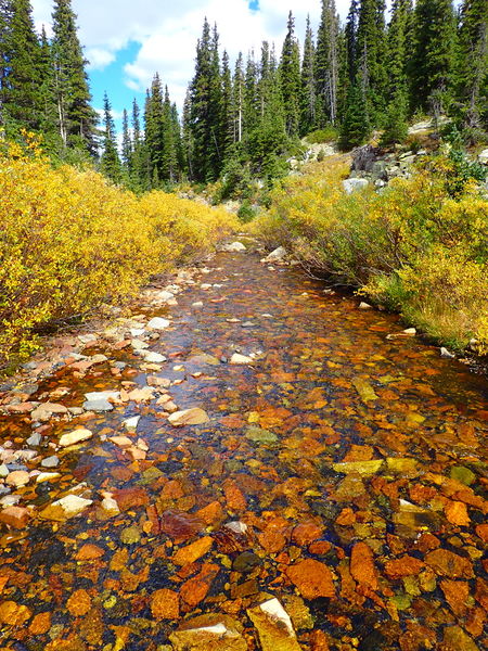 File:Bilk Creek Bilk102.jpg