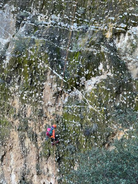 File:Eocene Canyon pic5.jpg