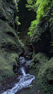 FILE2-20240810200317.jpg