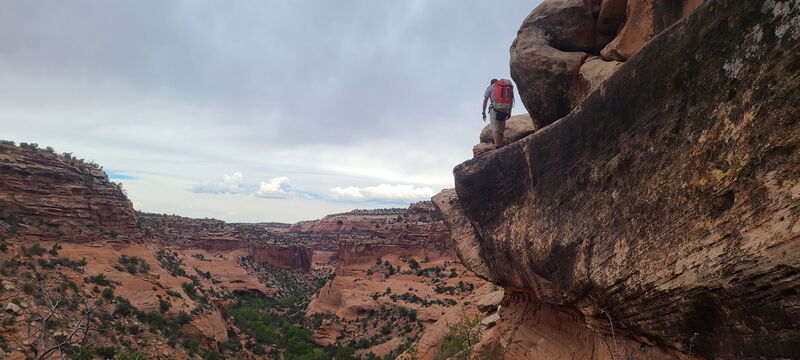 File:Knee Canyon (North) pic010.jpg