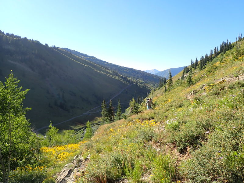 File:Purple People Eater Canyon pic1b.jpg