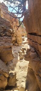 Tabaguache Canyon pic006.jpg