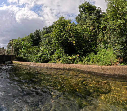 Titou Gorge (Upper)-20230106153522 pic.jpg