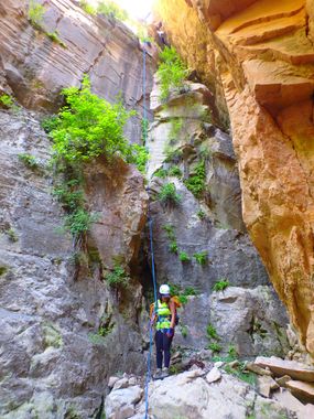 Two-tone Canyon Banner.jpg
