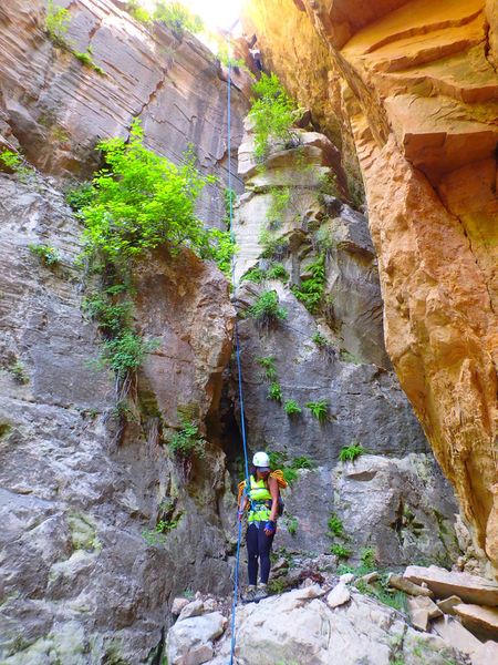 File:Two-tone Canyon Banner.jpg