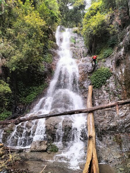 File:McKenzie (Gloucester Tops) Banner.jpg