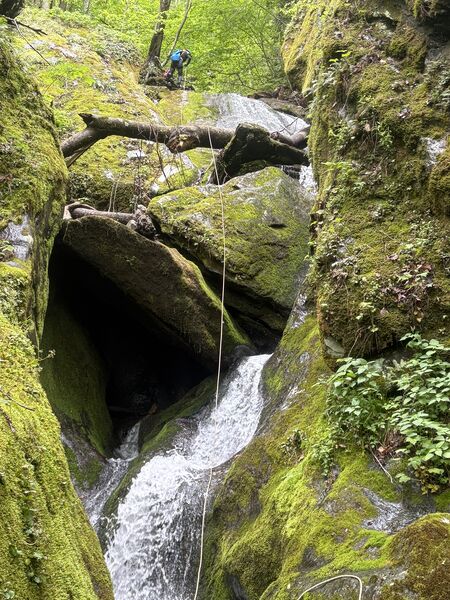 File:Mudcut Branch Canyon r5a.jpg