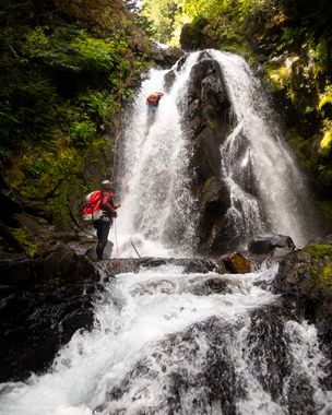 Whitehorse Creek (Olympic Peninsula) Banner.jpg