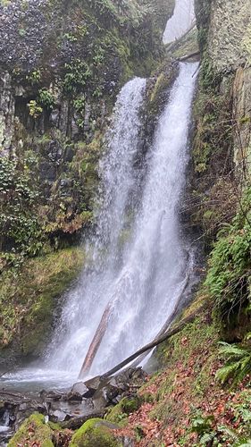 Archer Creek (Columbia River Gorge)-20211126223930 pic.jpg