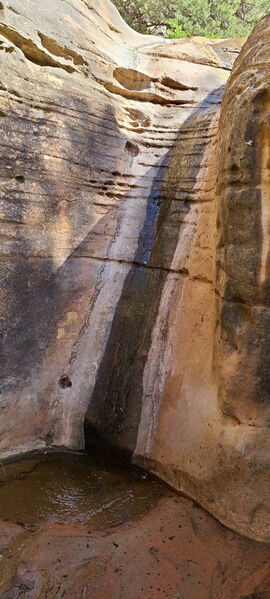 File:Carcass Canyon (Dinosaur) pic13.jpg