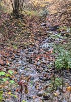 Clear Creek (West Fork)-20211011170843 pic.jpg