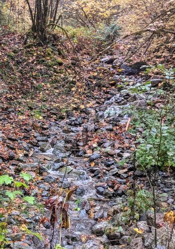 Clear Creek (West Fork)-20211011170843 pic.jpg
