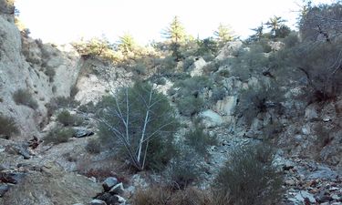 Cloudburst Canyon Banner.jpg