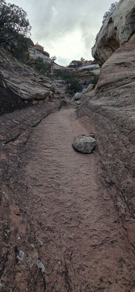 File:Serpent's Tail pic003.jpg