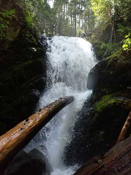 File:Whitehorse Creek (Olympic Peninsula)-20220815022143 pic.jpg