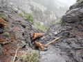 Thumbnail for version as of 19:13, 1 August 2021