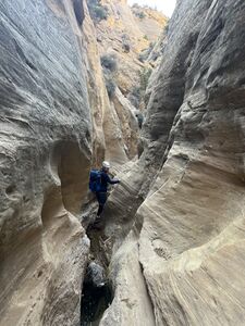 Bearwater Canyon pic1.jpg