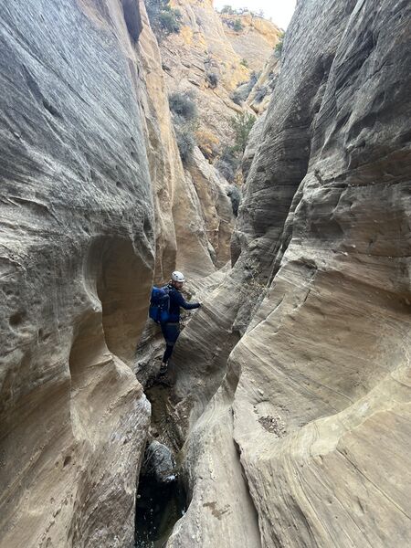 File:Bearwater Canyon pic1.jpg