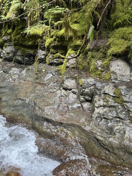 File:Hager Canyon feature6.jpg