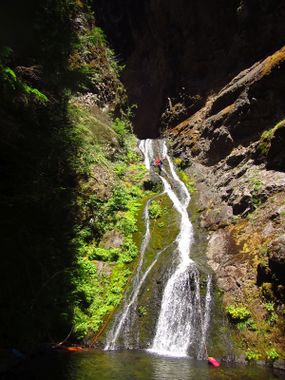 Paradise Creek Banner.jpg