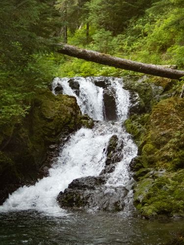 Deadhorse Creek-20200907212650 pic.jpg