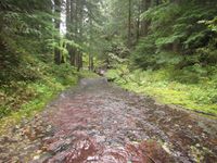 Platinum Creek-20210301020128 pic.jpg