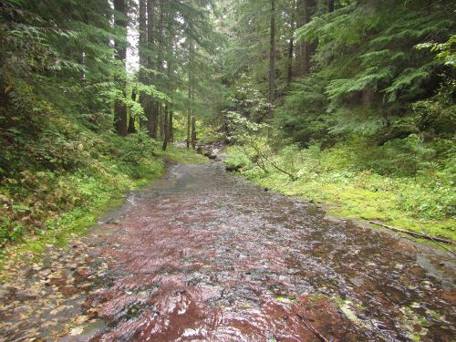 Platinum Creek-20210301020128 pic.jpg