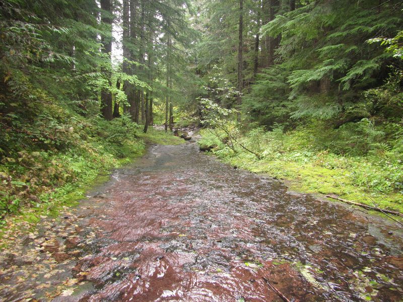 File:Platinum Creek-20210301020128 pic.jpg