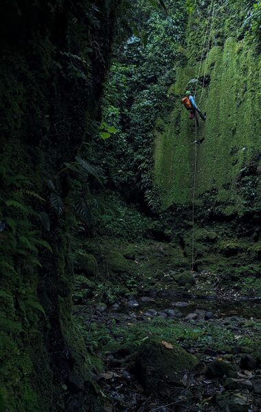 File:Bonsai Canyon (aka Avatar) Banner.jpg