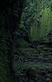 Thumbnail for version as of 12:19, 21 February 2024