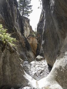 Morro Canyon-20240823192103 pics.jpg