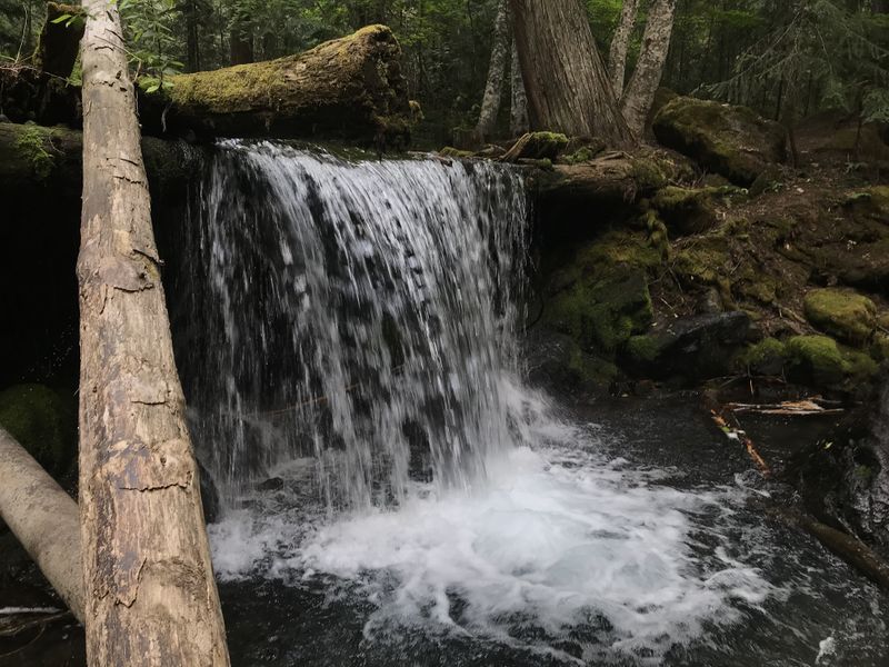 File:Quicksilver Creek-20190727033314 pic.jpg