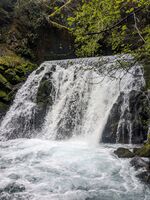Rock Creek (Olympic Peninsula)-20240429000341 pic.jpg